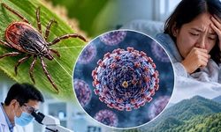 Çin'de ALTNV adlı yeni virüs alarmı! Keneden bulaşıyor