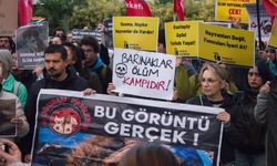 Ege Üniversitesi’nde sokak hayvanlarına destek yürüyüşü