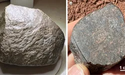Sahra Çölü’nde bulunan Mars göktaşının yaşı ortaya çıktı: 4,1 milyar yıldan daha eski