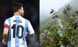 Lionel Messi’nin adı yeni keşfedilen bitki türüne verildi!