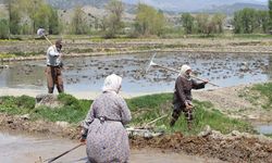 Maliyetler katlandı, alım fiyatları yetersiz kaldı: Çiftçi borç batağında