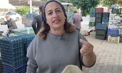 Aydınlı zeytin tüccarından zeytin fiyatlarına tepki!