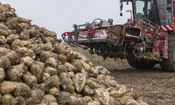 Şeker pancarı üreticilerinin beklediği fiyat açıklandı