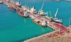 AKP’ye yakın şirketin 22 milyarlık liman projesinde deniz ekosistemi tehlikede