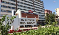 ÇAYKUR’un yaş çay ihalelerindeki şartlarına mahkemeden iptal kararı
