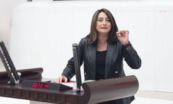 Aysu Bankoğlu’ndan iktidara kadın hakları çağrısı: Şiddetle mücadeleye bütçe ayırın!