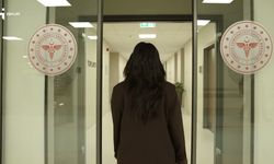 Ulusal Staj Programı için başvurular başladı: Gençlere çağrı!
