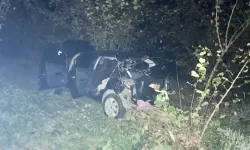 Zonguldak’ta otomobil fındık bahçesine yuvarlandı: 4 yaralı!