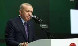 Cumhurbaşkanı Erdoğan'dan Özdemir Bayraktar ve Nuri Pakdil için anma mesajı