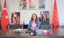 CHP’li İlgezdi’den özel hastanelere tepki: Tıp bilimi ciro hedeflerine teslim edilemez!