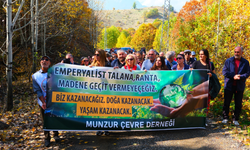 Pülümür Vadisi’nde yüksek gerilim hattı tepkisi: Bu düpedüz talandır!