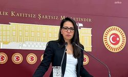 Sera Kadıgil, İskenderun Devlet Hastanesi’ndeki ihmalleri Meclis gündemine taşıdı!