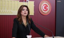 DEM Parti’li Koçyiğit: Dilde barış varsa bütçede de barış olmalıdır!