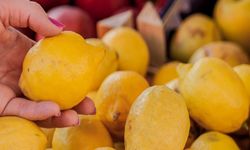 Limonun tarladan markete fiyat farkı yüzde 633’e ulaştı