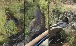 Marmara Denizi’ne kirli su karıştı: Tesise 5 milyon liralık ceza!