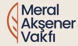 Meral Akşener Vakfı’nın amacı belli oldu! İşte yol haritası