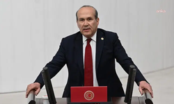Namık Tan’dan Sırbistan yorumu: Öğrenci Listesi’nin örgütlenme modeli özgün ve çağdaş!
