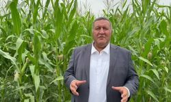Çiftçinin borç yükü büyüyor: 1,5 trilyon liralık kredi gündemde!