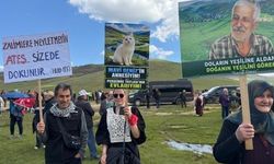Ordu yaylalarında mahkeme kararlarına rağmen sondaj yapıldığı öne sürüldü!