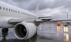 İstanbul'dan havalanan Pegasus uçağı kuş sürüsüne çarptı: Geri dönmek zorunda kaldı!