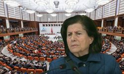 Fon mağduru 78 yaşındaki kadına Meclis yasağı getirildi