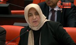 AKP’li Özlem Zengin’den ezber bozan ‘fon krizi’ çağrısı: Listenin tamamı açıklansın!