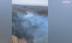 Bilecik’te çıkan yangında 2 hektar alan zarar gördü