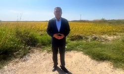 Tanrıkulu’ndan tutuklu belediye başkanları için tepki: Mesele yaşanan zulüm!