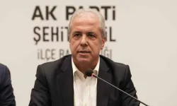 Şamil Tayyar’dan fon soruşturması mesajı: Neşterin daha derine indirileceği konusunda umutlarım arttı!