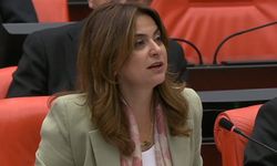 DEM Partili Koçyiğit: Yüksek yargıdan bürokratına kadar herkes işin içinde!