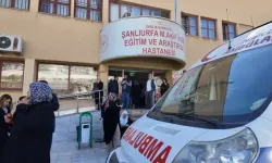 Şanlıurfa’da yaprak sarması yiyen 12 öğrenci hastanelik oldu!