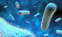 Bilim insanlarından yenidoğanlar için antibiyotik uyarısı: Yararlı bakteriler bağışıklığı güçlendiriyor!