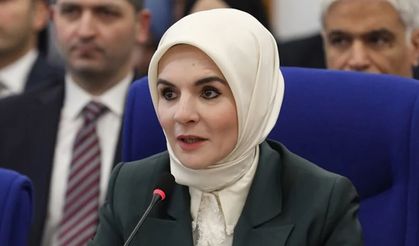 Bakan Göktaş'tan suça sürüklenen çocuk açıklaması