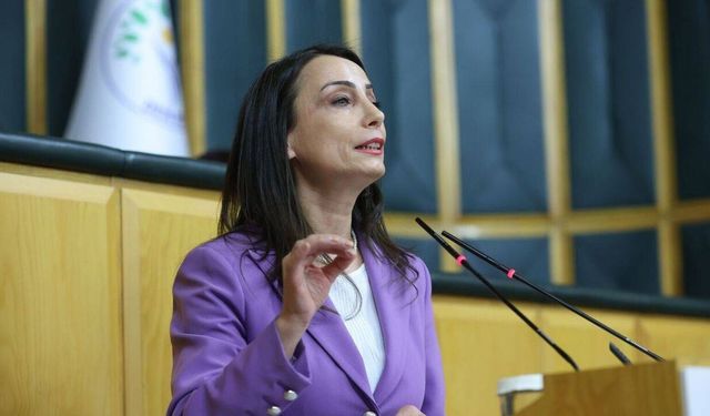 DEM Parti'den Öcalan için 'umut hakkı' çıkışı!