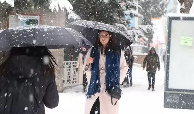 Kar yağışı nedeniyle 2 ilde eğitime ara verildi