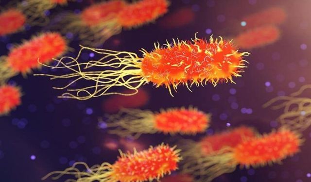 Salgın alarmı! Laboratuvardan mı bulaştı?