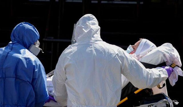 Havanlardan insanlara bulaşmadığı sanılıyordu... İlk kez bir insanda H5N5 tespit edildi!