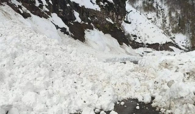 Artvin'de çığ düştü! Validen açıklama
