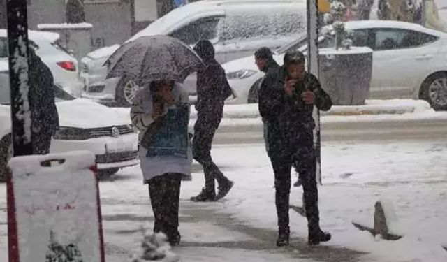 Mayıs ayında lapa lapa kar yağacak!