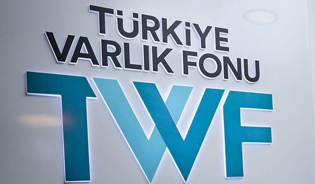 Varlık fonu borç fonuna döndü! Bazı şirketlere denetçiler erişemiyor