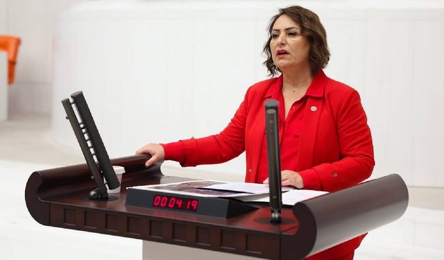 CHP Milletvekili Müzeyyen Şevkin: ‘Kimsenin aç yatmadığı Türkiye’yi birlikte kuracağız’