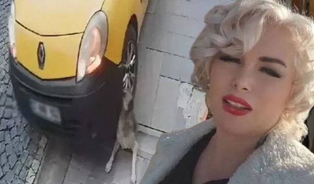 Köpeği ezen serbest! Görüntüyü paylaşan hapis cezası aldı