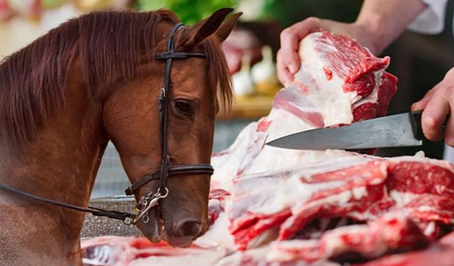 Bakanlık ifşa etti; sucuk yerine at, eşek ve domuz eti yedirmişler