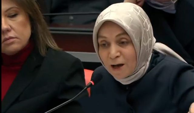 AK Partili Leyla Şahin Usta’dan Alevilerin tepkisini çeken sözler