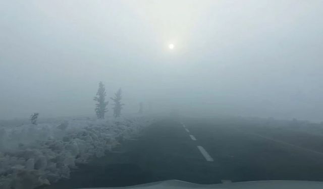 Diyarbakır'da uçak seferleri aksadı