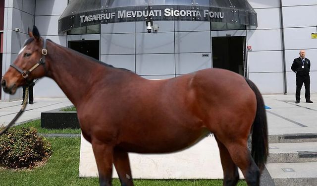 TMSF at satışı için ihaleye çıktı