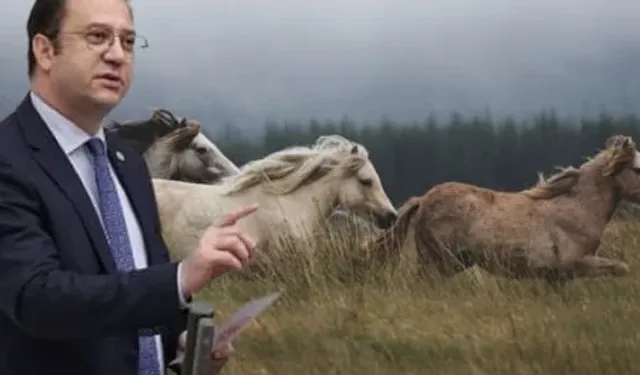 CHP milletvekili: Değeri 100 milyon lirayı bulan yarış atları nasıl kayboldu?
