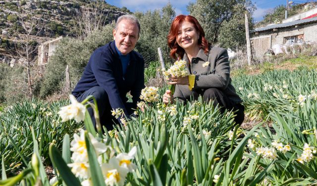 CHP'li Vahap Seçer'den erken seçim çağrısı