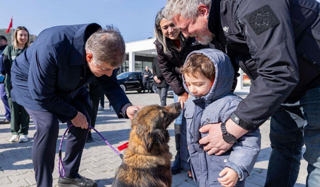 İzmir’de hayvan dostu çağrı: 'Yarım saat yeter'