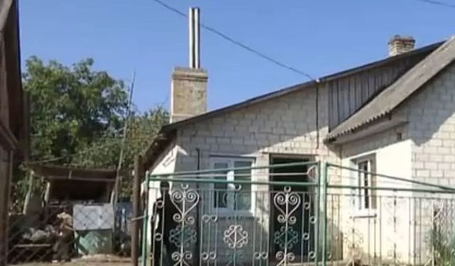 Kocasını öldürdü: Cinsel organını köpeğine yedirdi